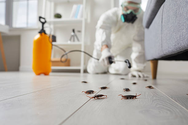 Commercial Kitchen Cockroach Control in Marion